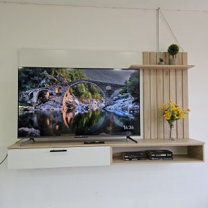 Modulo para TV NYM1